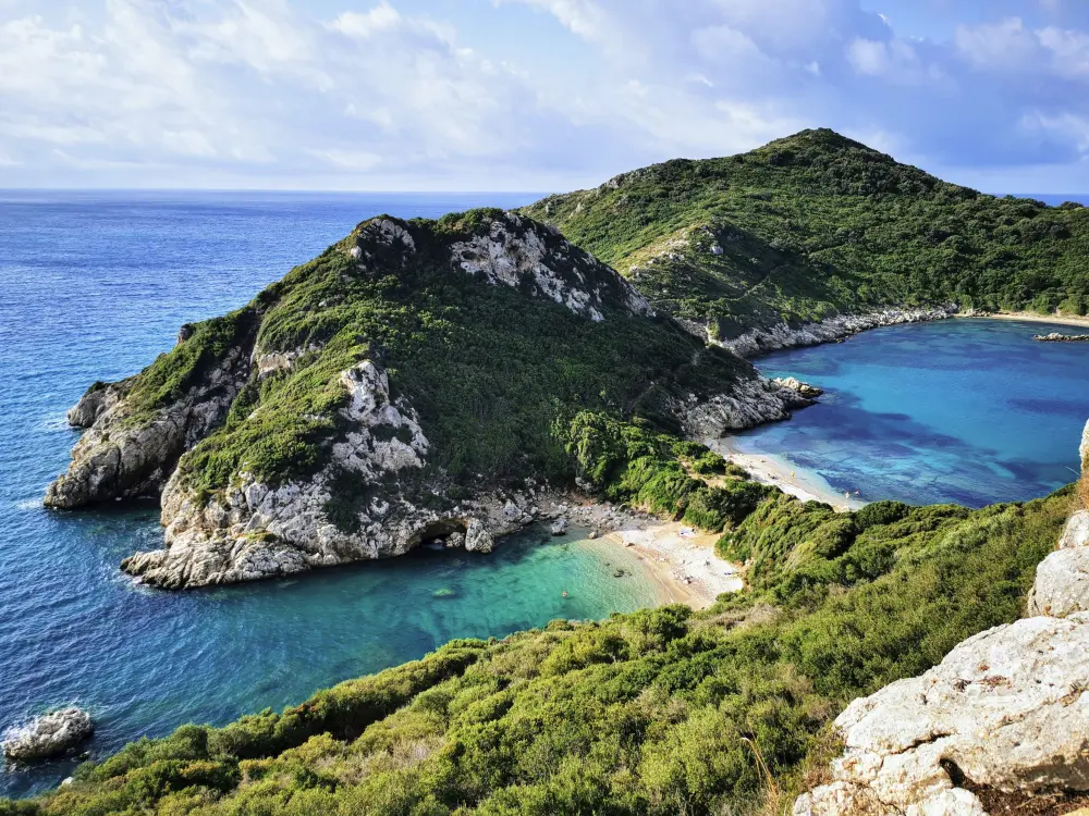 porto timoni 1